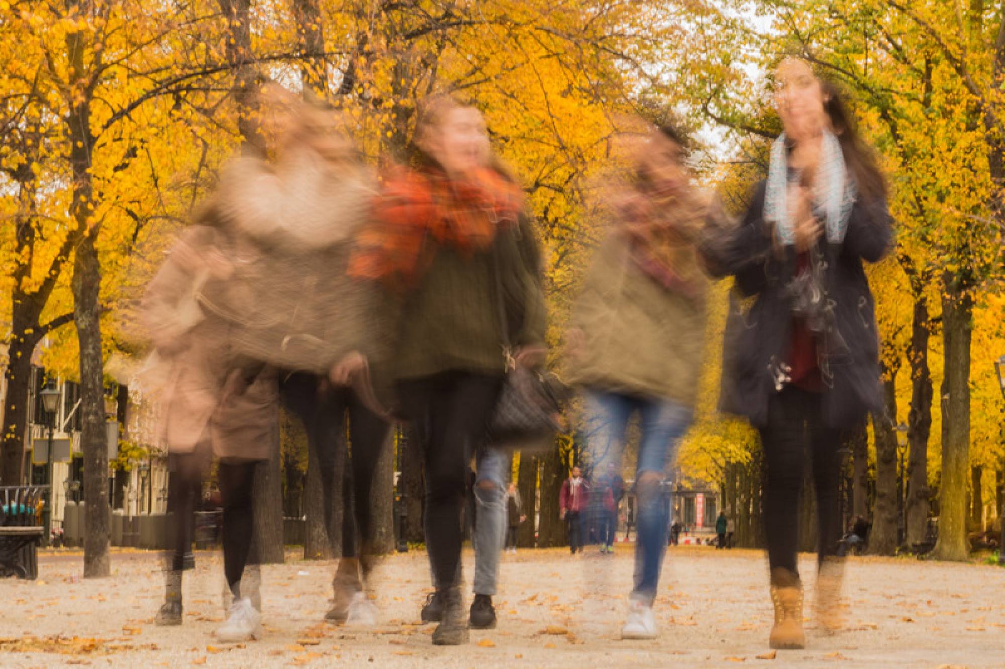 Canva - Group of People Walking Under the Orange Tree